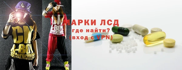 сатива Балахна