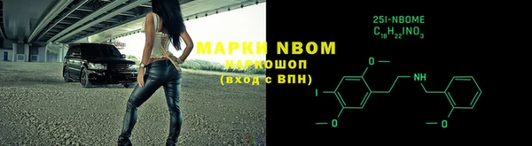 сатива Балахна