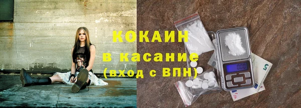 сатива Балахна