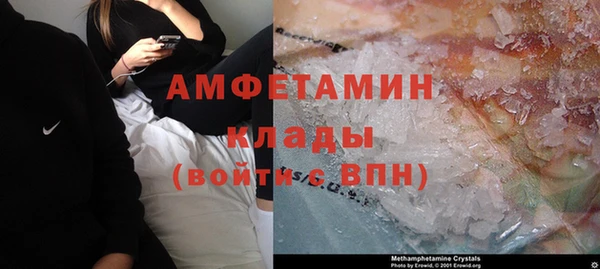 сатива Балахна