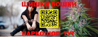 индика Чебаркуль