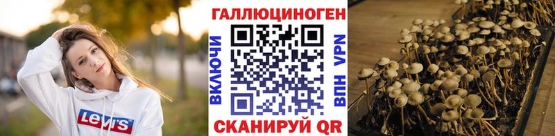 Галлюциногенные грибы ЛСД  кракен как зайти  Асино 
