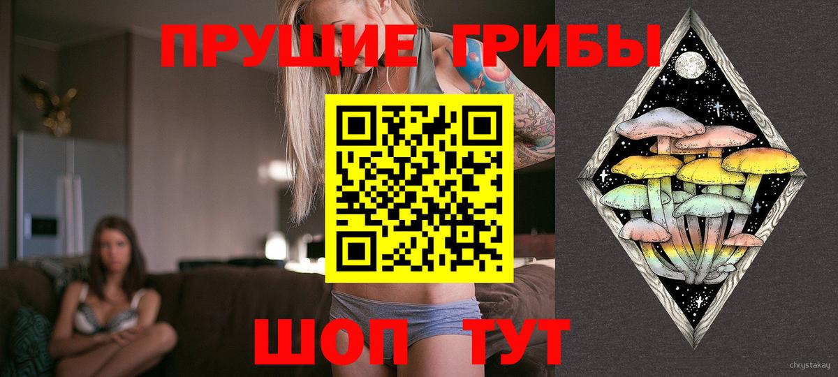 Псилоцибиновые грибы прущие грибы Асино