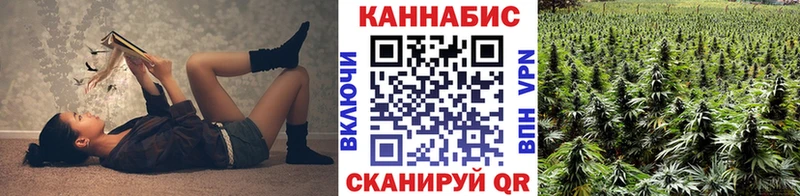 где купить наркотик  Асино  Шишки марихуана Ganja 